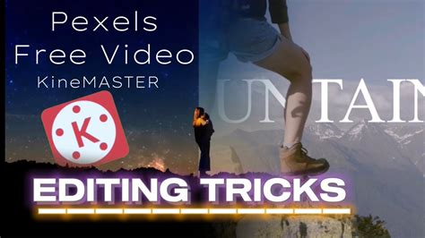 pexels free videos|pexels free video for youtube.